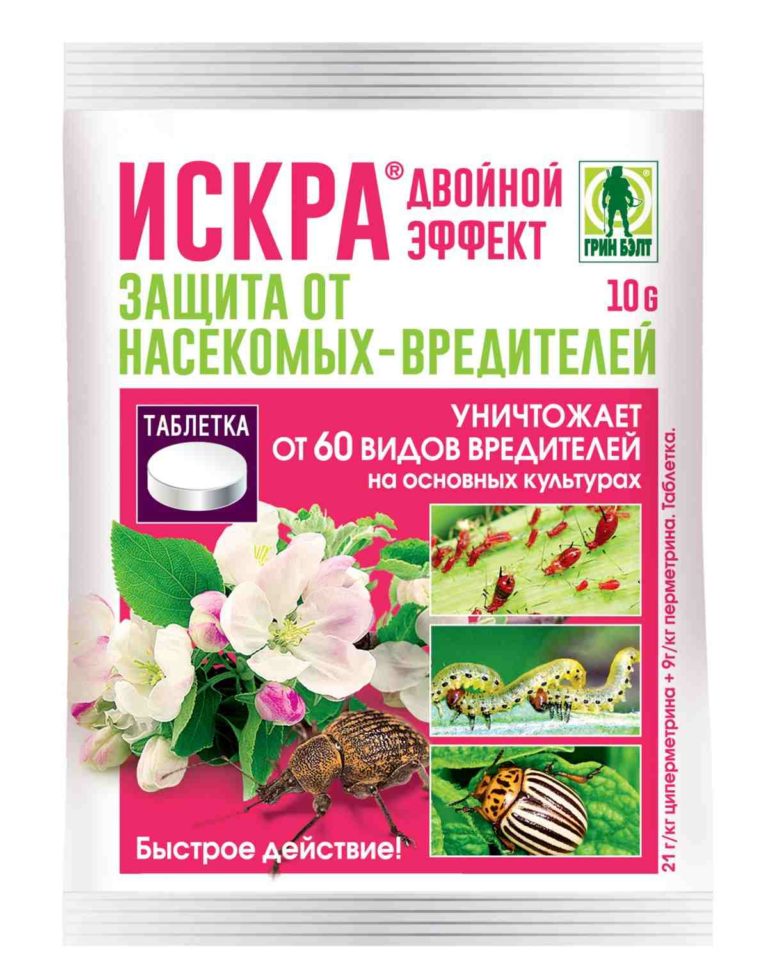 Уничтожение вредителей на комнатных растениях.